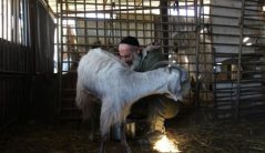 The Rabbi from Hezbollah