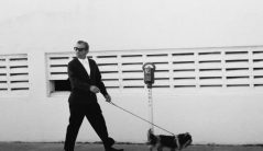 Lansky: The Zionist Gangster