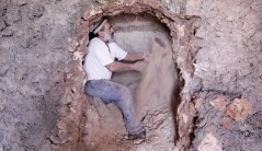 סיפור אפולוני