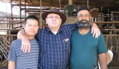 פרות שמנות פרות רזות