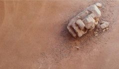 פאניקאוטופיה - ספינת מדבר