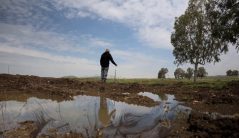 חושניה - סודות מלחמה