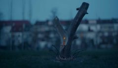 דרושה בדחיפות מילה חדשה